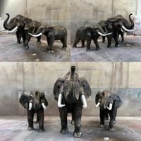 9598DA96-2BC1-47E5-9668-819D1D39D6EB