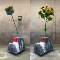 flores2