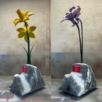 flores3